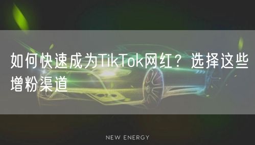 如何快速成为TikTok网红？选择这些增粉渠道