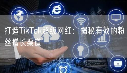 打造TikTok超级网红：揭秘有效的粉丝增长渠道