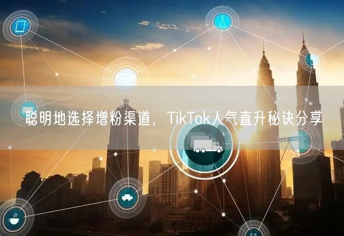 聪明地选择增粉渠道，TikTok人气直升秘诀分享