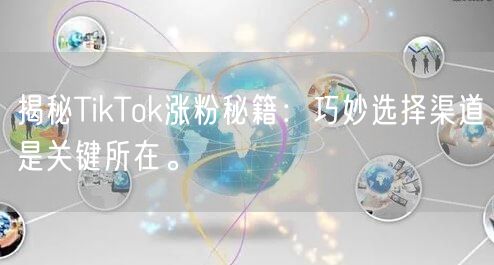 揭秘TikTok涨粉秘籍：巧妙选择渠道是关键所在。