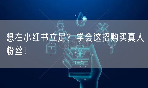 想在小红书立足？学会这招购买真人粉丝！