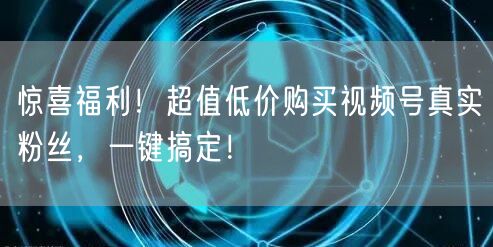 惊喜福利！超值低价购买视频号真实粉丝，一键搞定！