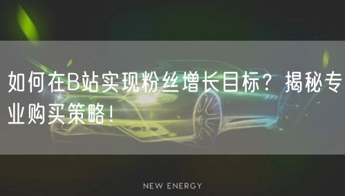 如何在B站实现粉丝增长目标？揭秘专业购买策略！