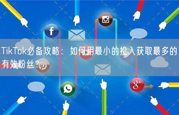 TikTok必备攻略：如何用最小的投入获取最多的有效粉丝？