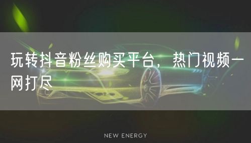 玩转抖音粉丝购买平台，热门视频一网打尽