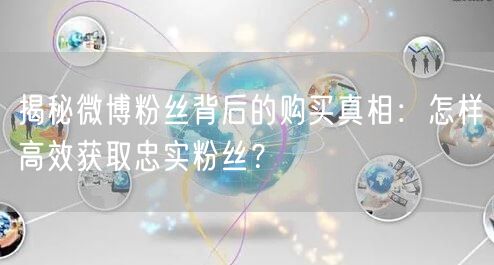 揭秘微博粉丝背后的购买真相：怎样高效获取忠实粉丝？