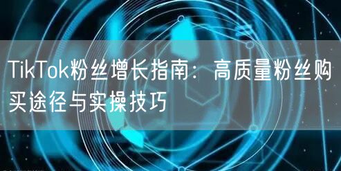TikTok粉丝增长指南：高质量粉丝购买途径与实操技巧