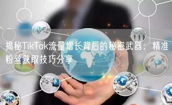 揭秘TikTok流量增长背后的秘密武器：精准粉丝获取技巧分享