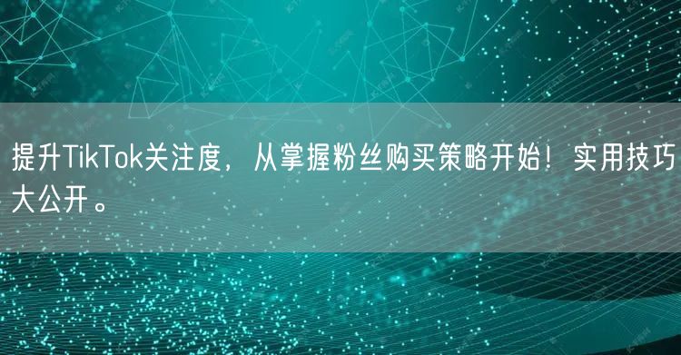 提升TikTok关注度，从掌握粉丝购买策略开始！实用技巧大公开。