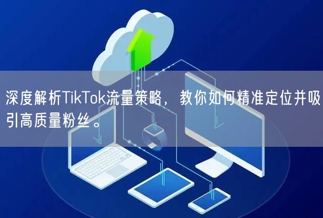 深度解析TikTok流量策略，教你如何精准定位并吸引高质量粉丝。