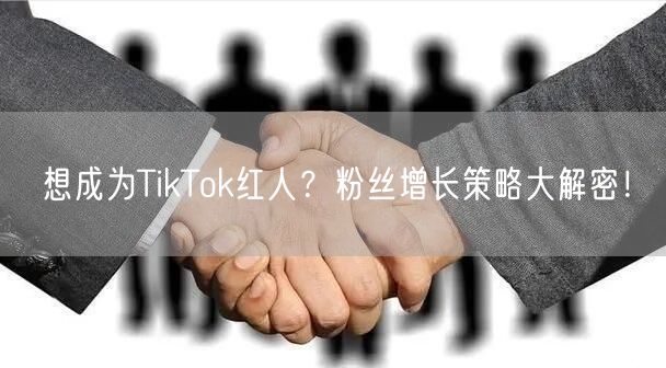 想成为TikTok红人？粉丝增长策略大解密！