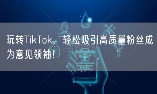 玩转TikTok，轻松吸引高质量粉丝成为意见领袖！