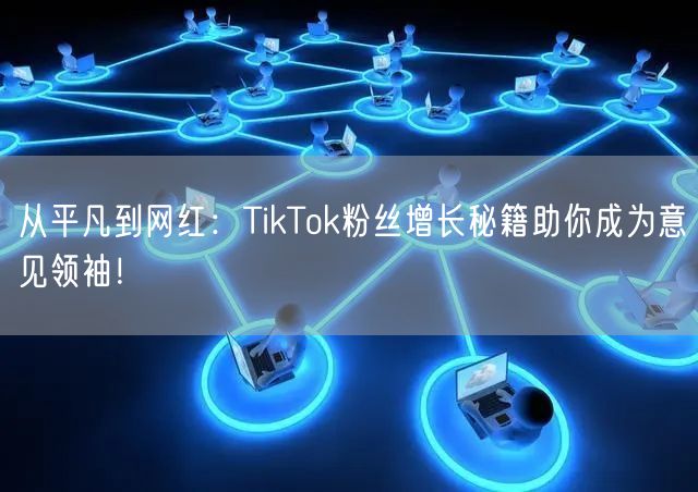 从平凡到网红：TikTok粉丝增长秘籍助你成为意见领袖！