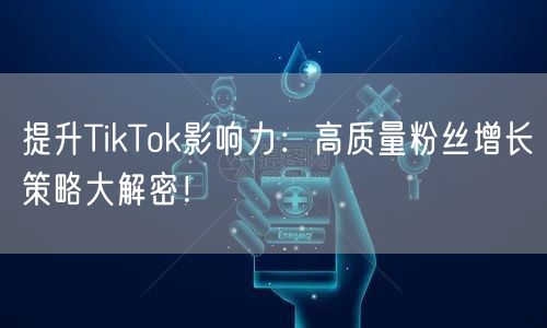 提升TikTok影响力：高质量粉丝增长策略大解密！