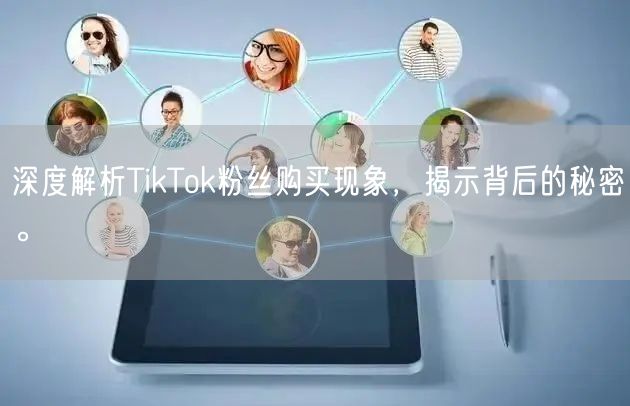 深度解析TikTok粉丝购买现象，揭示背后的秘密。