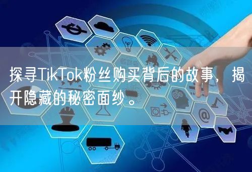 探寻TikTok粉丝购买背后的故事，揭开隐藏的秘密面纱。