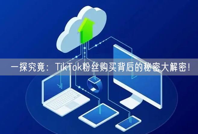 一探究竟：TikTok粉丝购买背后的秘密大解密！