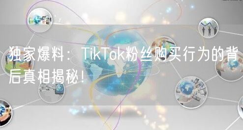 独家爆料：TikTok粉丝购买行为的背后真相揭秘！