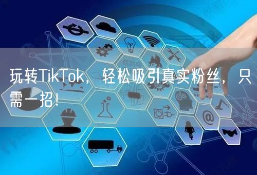 玩转TikTok，轻松吸引真实粉丝，只需一招！