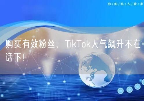 购买有效粉丝，TikTok人气飙升不在话下！