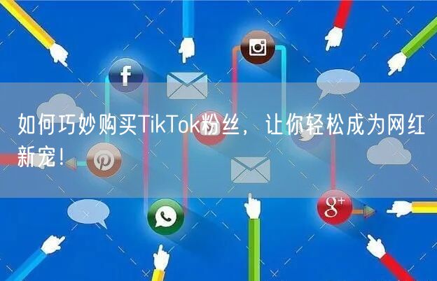 如何巧妙购买TikTok粉丝，让你轻松成为网红新宠！