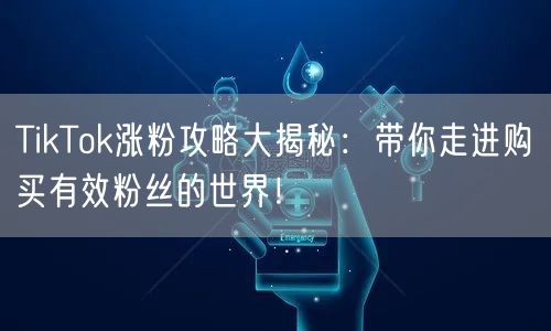 TikTok涨粉攻略大揭秘：带你走进购买有效粉丝的世界！