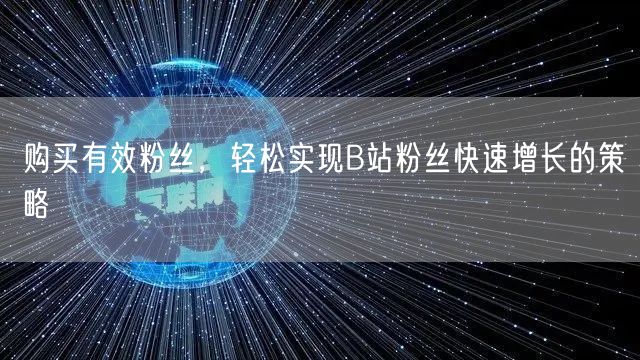 购买有效粉丝，轻松实现B站粉丝快速增长的策略