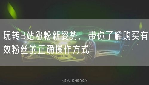 玩转B站涨粉新姿势，带你了解购买有效粉丝的正确操作方式