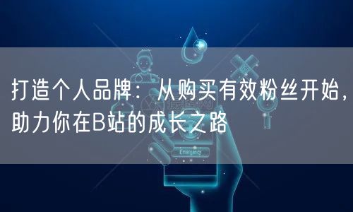 打造个人品牌：从购买有效粉丝开始，助力你在B站的成长之路