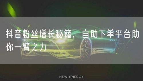 抖音粉丝增长秘籍，自助下单平台助你一臂之力