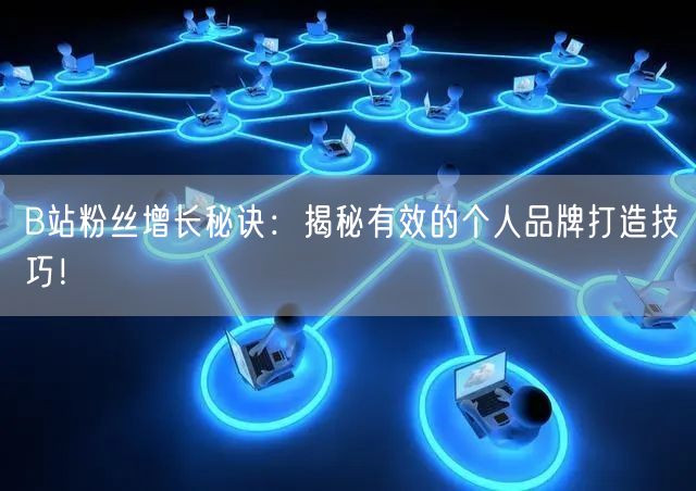 B站粉丝增长秘诀：揭秘有效的个人品牌打造技巧！