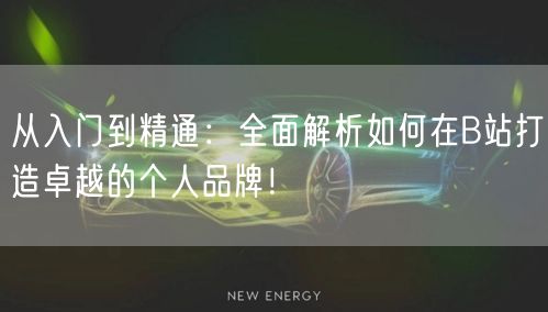 从入门到精通：全面解析如何在B站打造卓越的个人品牌！