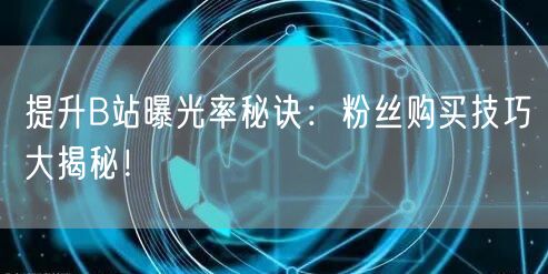 提升B站曝光率秘诀：粉丝购买技巧大揭秘！