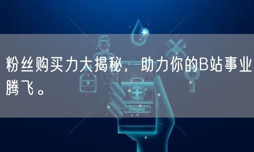 粉丝购买力大揭秘，助力你的B站事业腾飞。