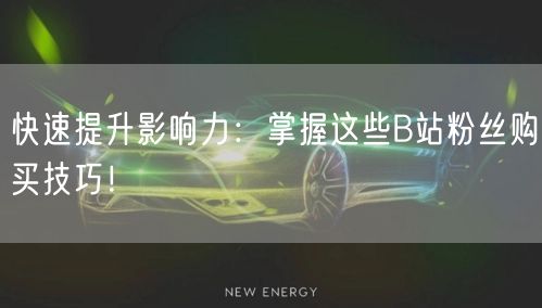 快速提升影响力：掌握这些B站粉丝购买技巧！