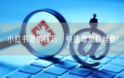 小红书营销技巧：快速增加粉丝数!