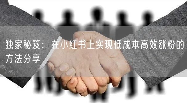 独家秘笈：在小红书上实现低成本高效涨粉的方法分享