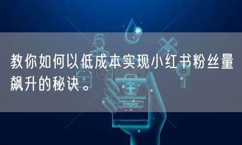 教你如何以低成本实现小红书粉丝量飙升的秘诀。