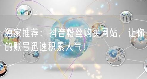 独家推荐：抖音粉丝购买网站，让你的账号迅速积累人气！