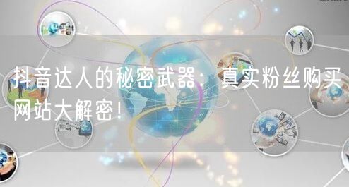 抖音达人的秘密武器：真实粉丝购买网站大解密！