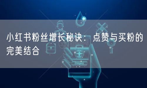 小红书粉丝增长秘诀：点赞与买粉的完美结合