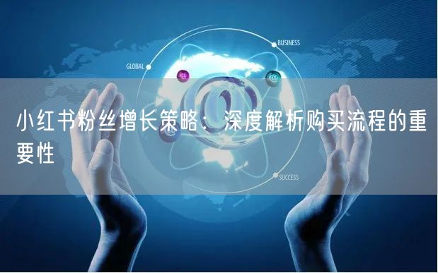 小红书粉丝增长策略：深度解析购买流程的重要性