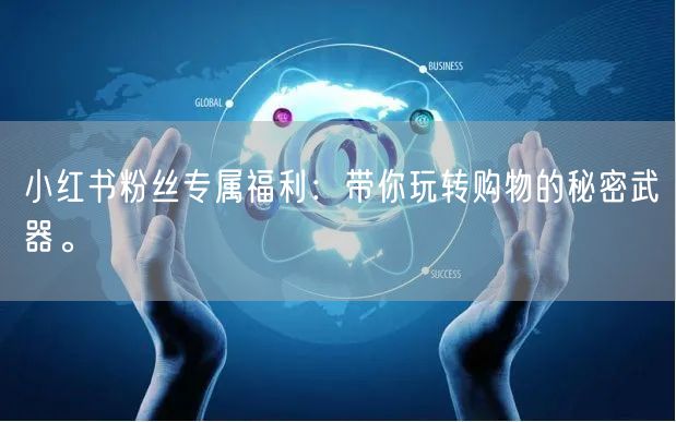 小红书粉丝专属福利：带你玩转购物的秘密武器。