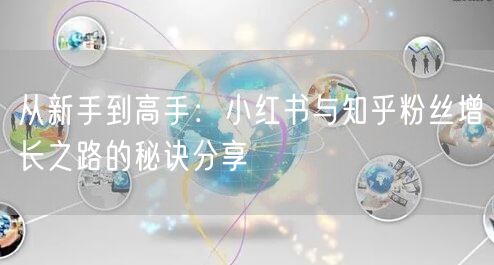 从新手到高手：小红书与知乎粉丝增长之路的秘诀分享