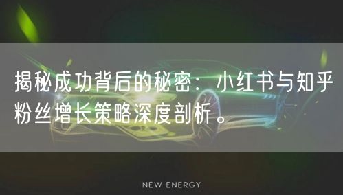 揭秘成功背后的秘密：小红书与知乎粉丝增长策略深度剖析。