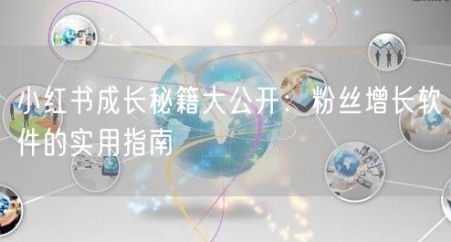 小红书成长秘籍大公开：粉丝增长软件的实用指南