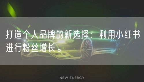 打造个人品牌的新选择：利用小红书进行粉丝增长。