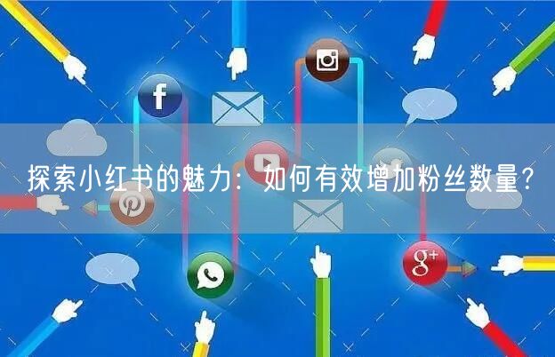 探索小红书的魅力：如何有效增加粉丝数量？