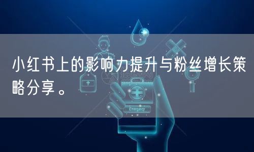 小红书上的影响力提升与粉丝增长策略分享。