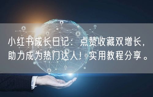 小红书成长日记：点赞收藏双增长，助力成为热门达人！实用教程分享。